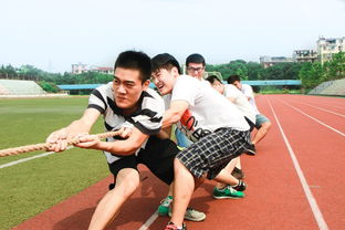 九游官网入口活动-体育新闻中心联合高校开展体育内容创新创业竞赛，学校体育创新项目  第3张