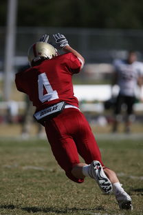 九游体育下载-外援适应球队节奏成为成败关键融合度需加强，外援球队球员  第2张